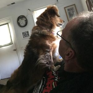 Meet your Posher, Jan